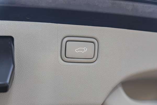 2017 Kia Carnival Platinum YP