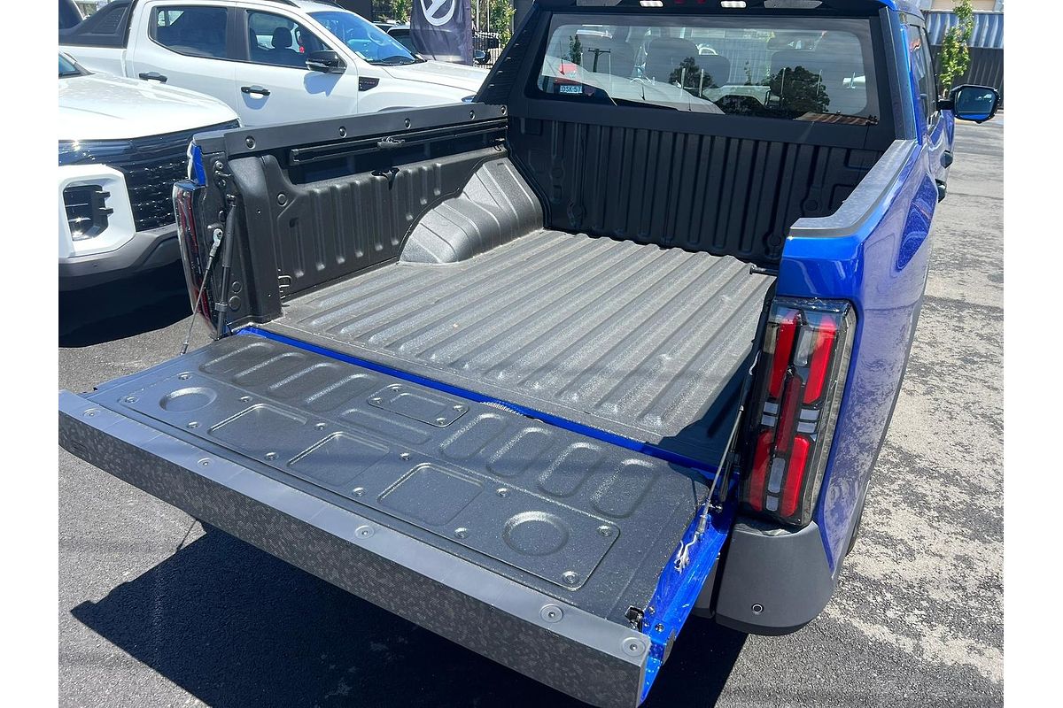 2025 LDV Terron 9 Evolve EKK1C 4X4