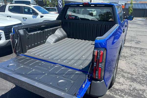 2025 LDV Terron 9 Evolve EKK1C 4X4