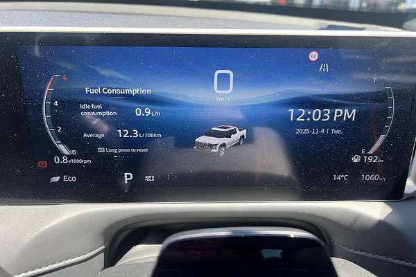 2025 LDV Terron 9 Evolve EKK1C 4X4