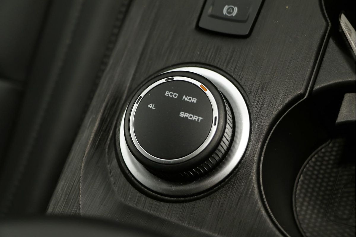 2022 GWM Ute Cannon-L NPW