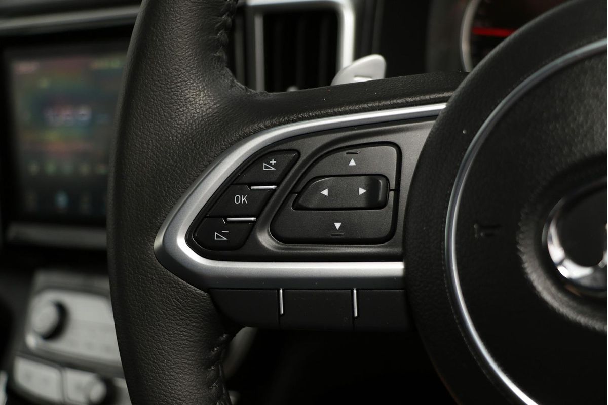 2022 GWM Ute Cannon-L NPW