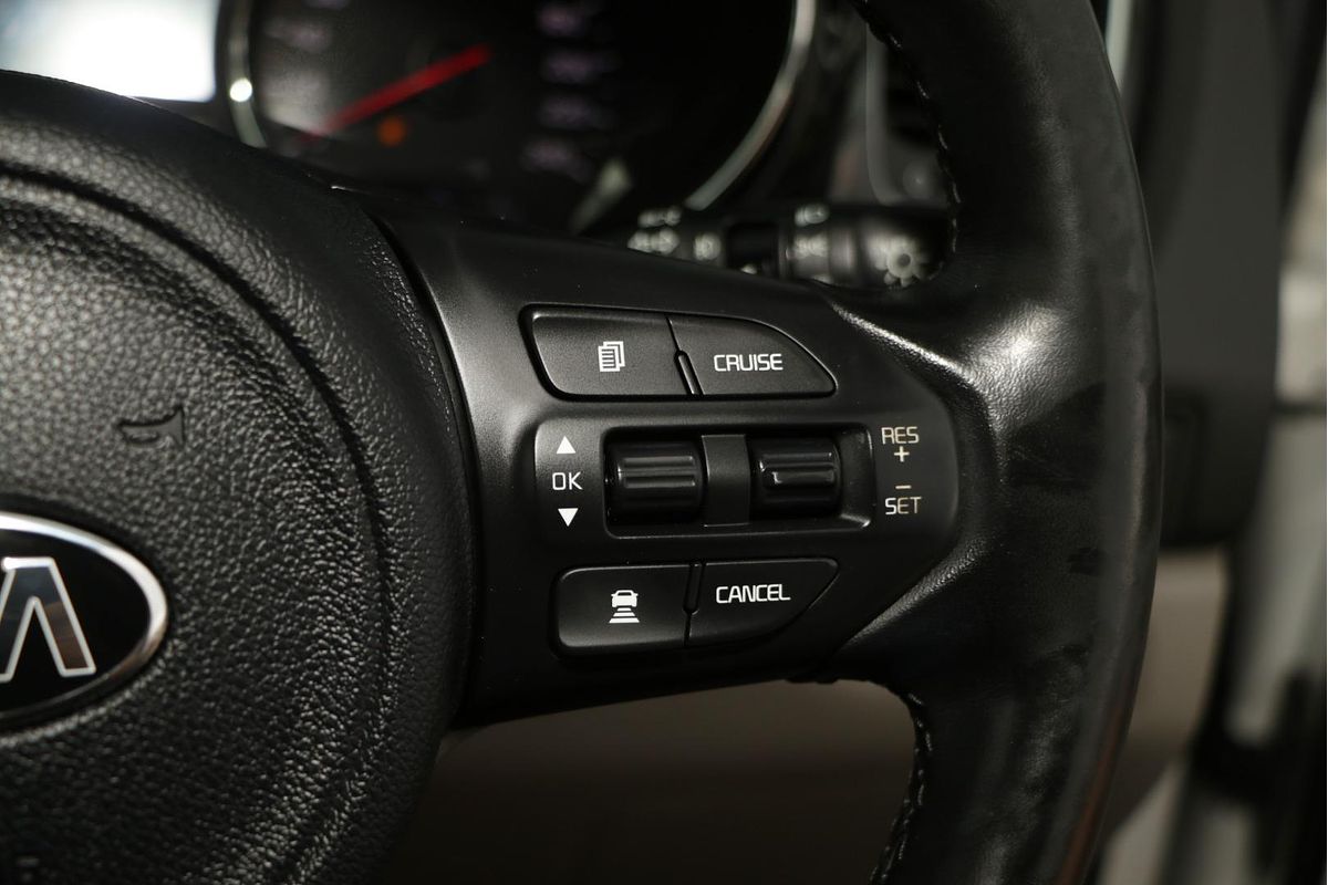 2018 Kia Carnival Platinum YP