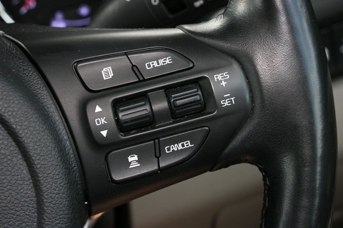 2019 Kia Carnival Platinum YP