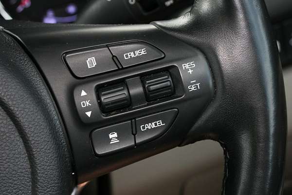 2019 Kia Carnival Platinum YP