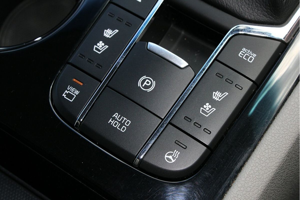 2019 Kia Carnival Platinum YP