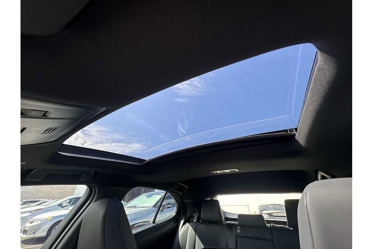 2024 Lexus UX F SPORT Design