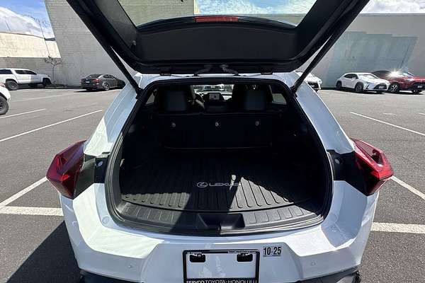 2024 Lexus UX F SPORT Design