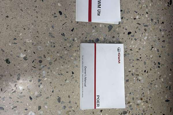 2022 GWM Ute Cannon-X NPW 4X4