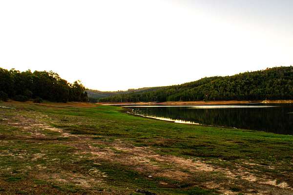 2021 Toyota Kluger Grande GSU75R