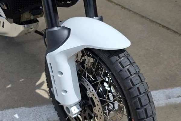 2025 Ducati Desert X Desert X