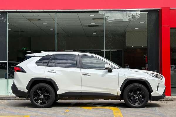 2019 Toyota RAV4 Cruiser AXAH52R