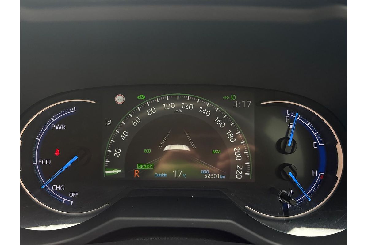 2019 Toyota RAV4 Cruiser AXAH52R