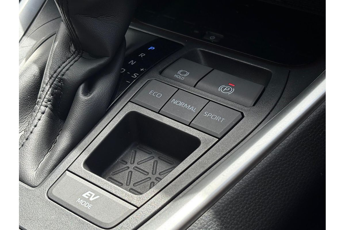 2019 Toyota RAV4 Cruiser AXAH52R