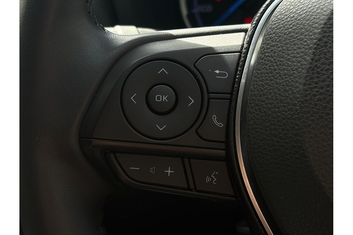 2019 Toyota RAV4 Cruiser AXAH52R