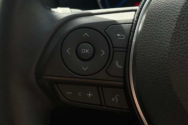 2019 Toyota RAV4 Cruiser AXAH52R