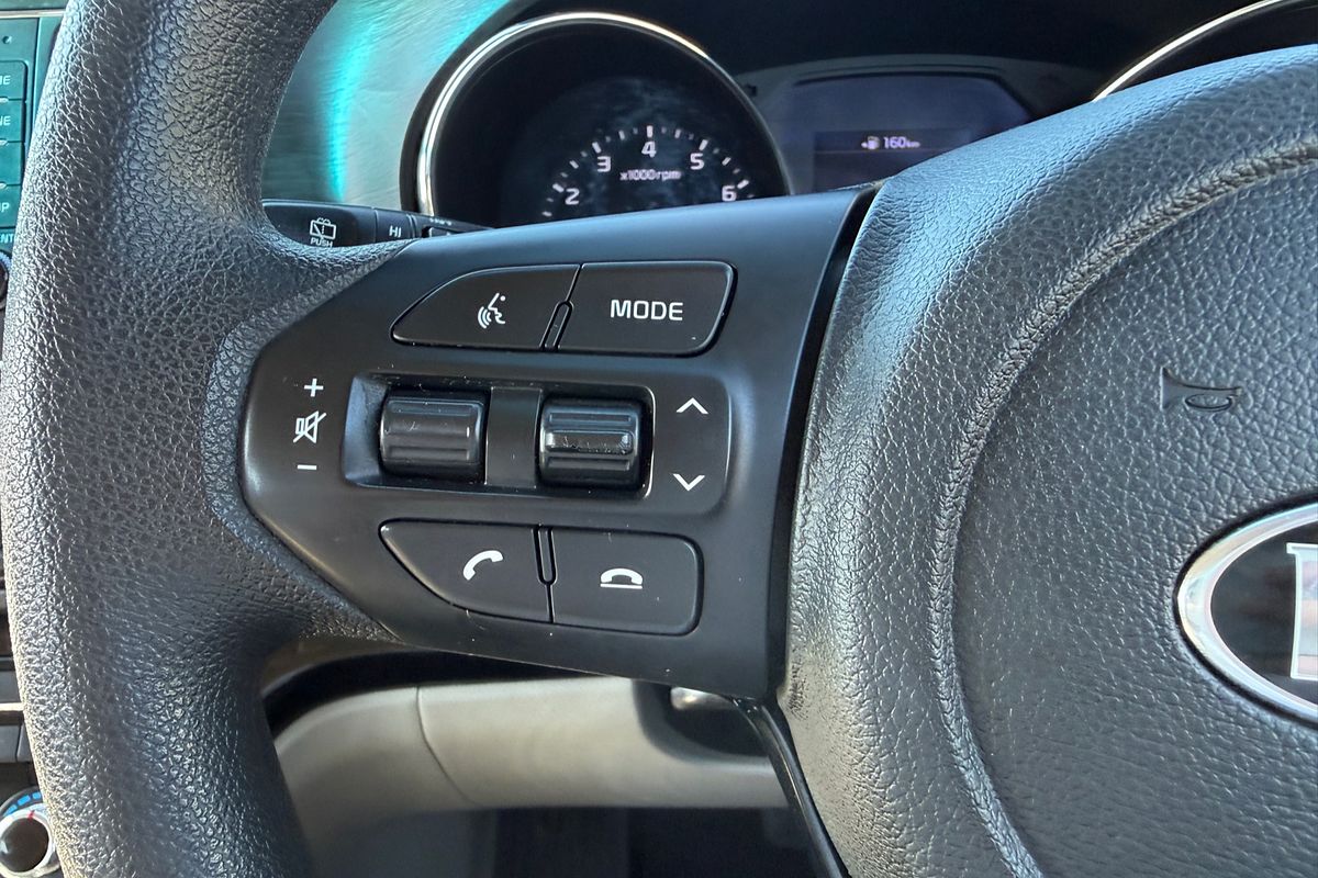 2019 Kia Carnival S YP