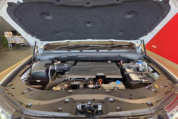 2025 GWM Cannon Vanta NPW 4X4