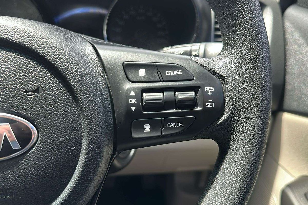 2019 Kia Carnival S YP