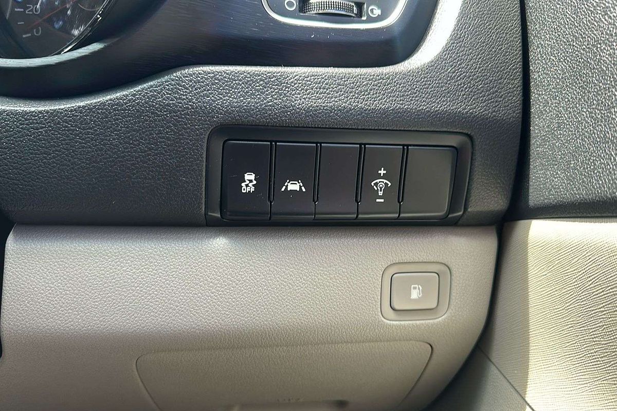 2019 Kia Carnival S YP