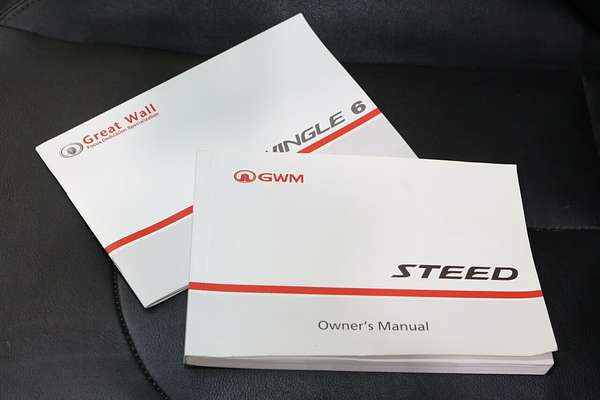 2020 Great Wall Steed NBP 4X4