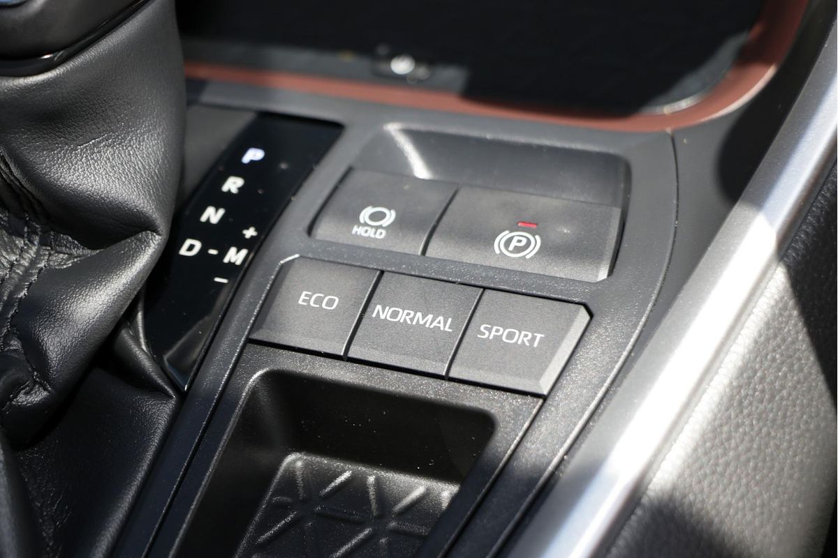 2020 Toyota RAV4 Cruiser MXAA52R