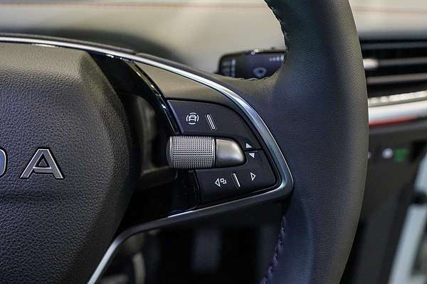 2025 SKODA Elroq 130 Years Edition NY