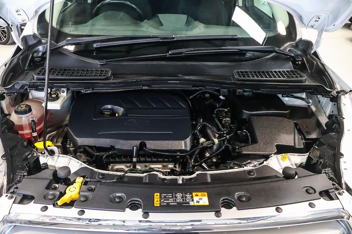 2017 Ford Escape Trend ZG