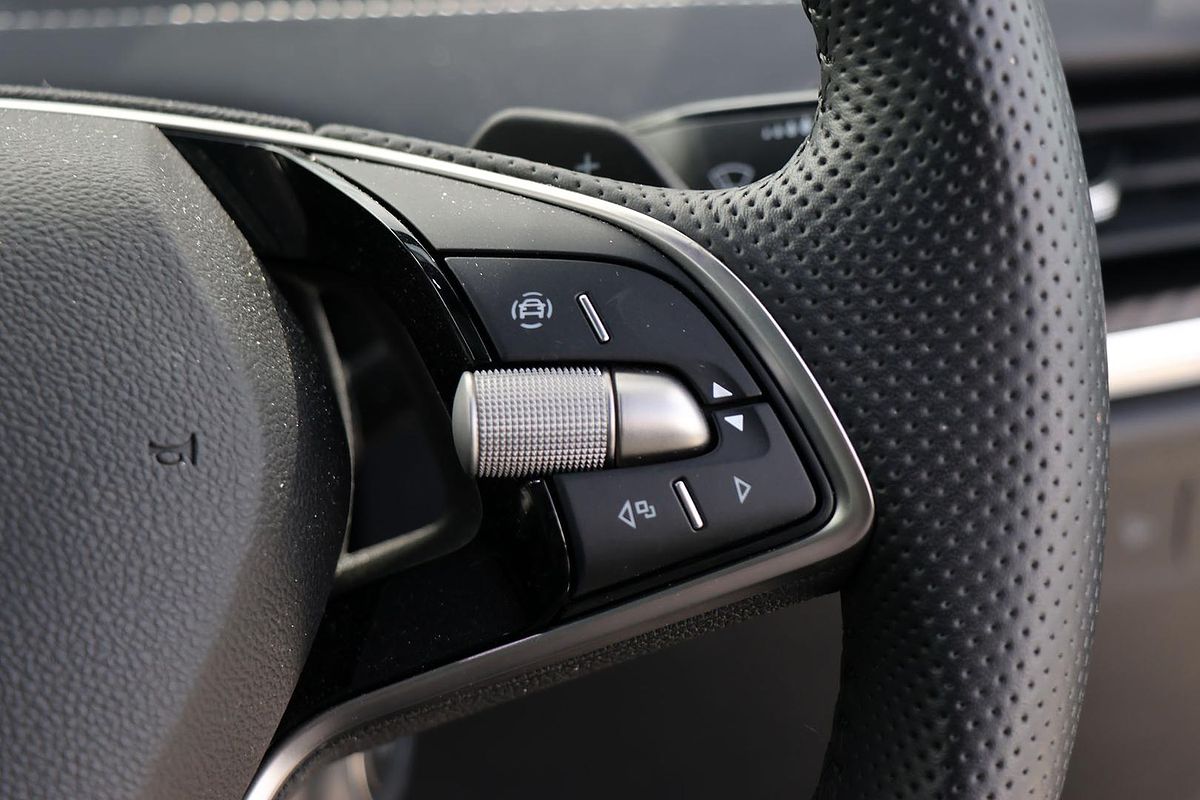 2024 SKODA Enyaq RS NY