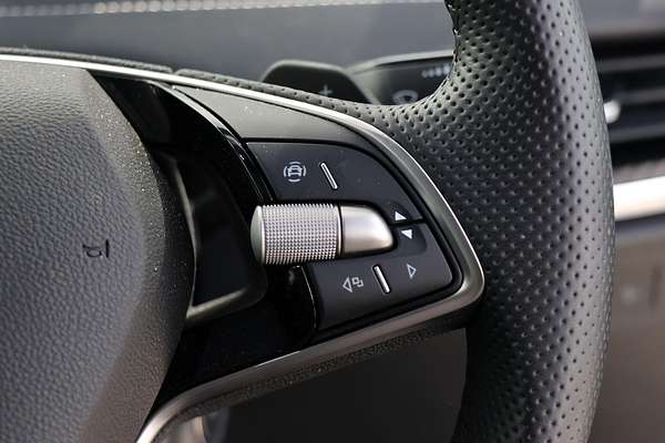 2024 SKODA Enyaq RS NY