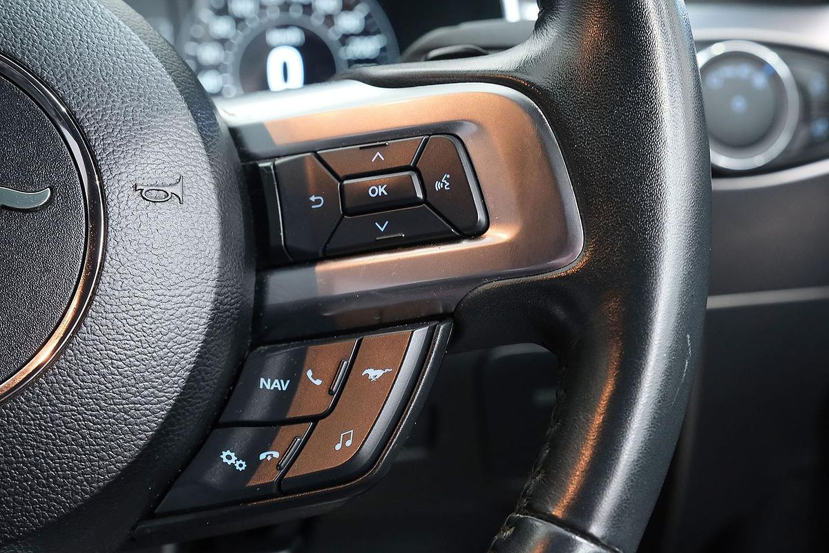 2019 Ford Mustang GT FN