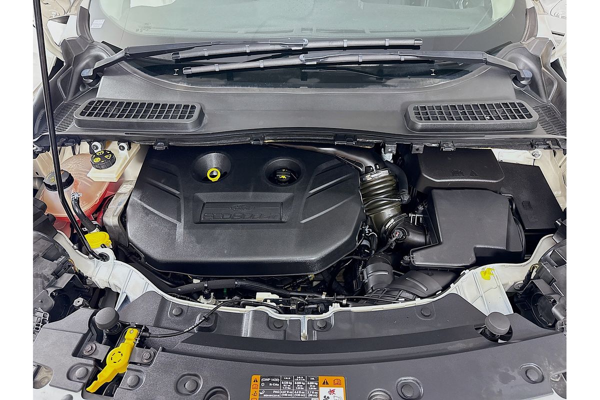 2019 Ford Escape Trend ZG