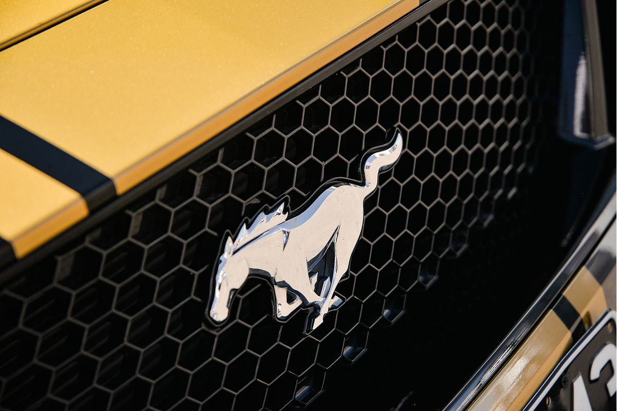 2018 Ford Mustang GT FN