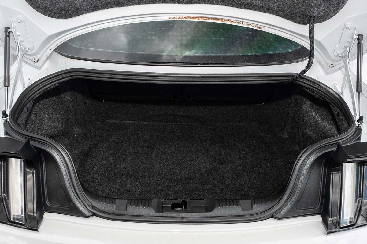 2015 Ford Mustang FM