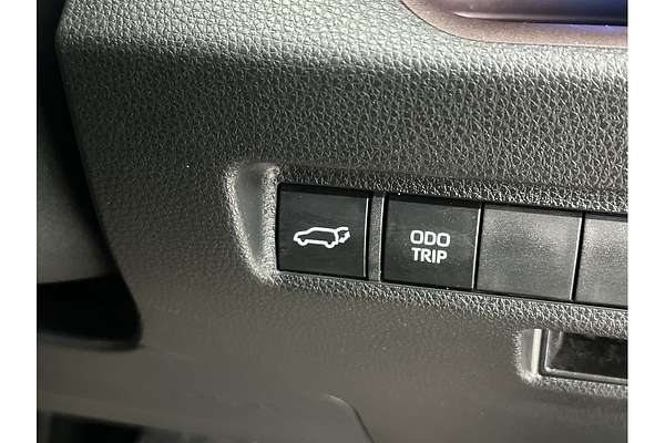 2024 Toyota RAV4 Cruiser MXAA52R