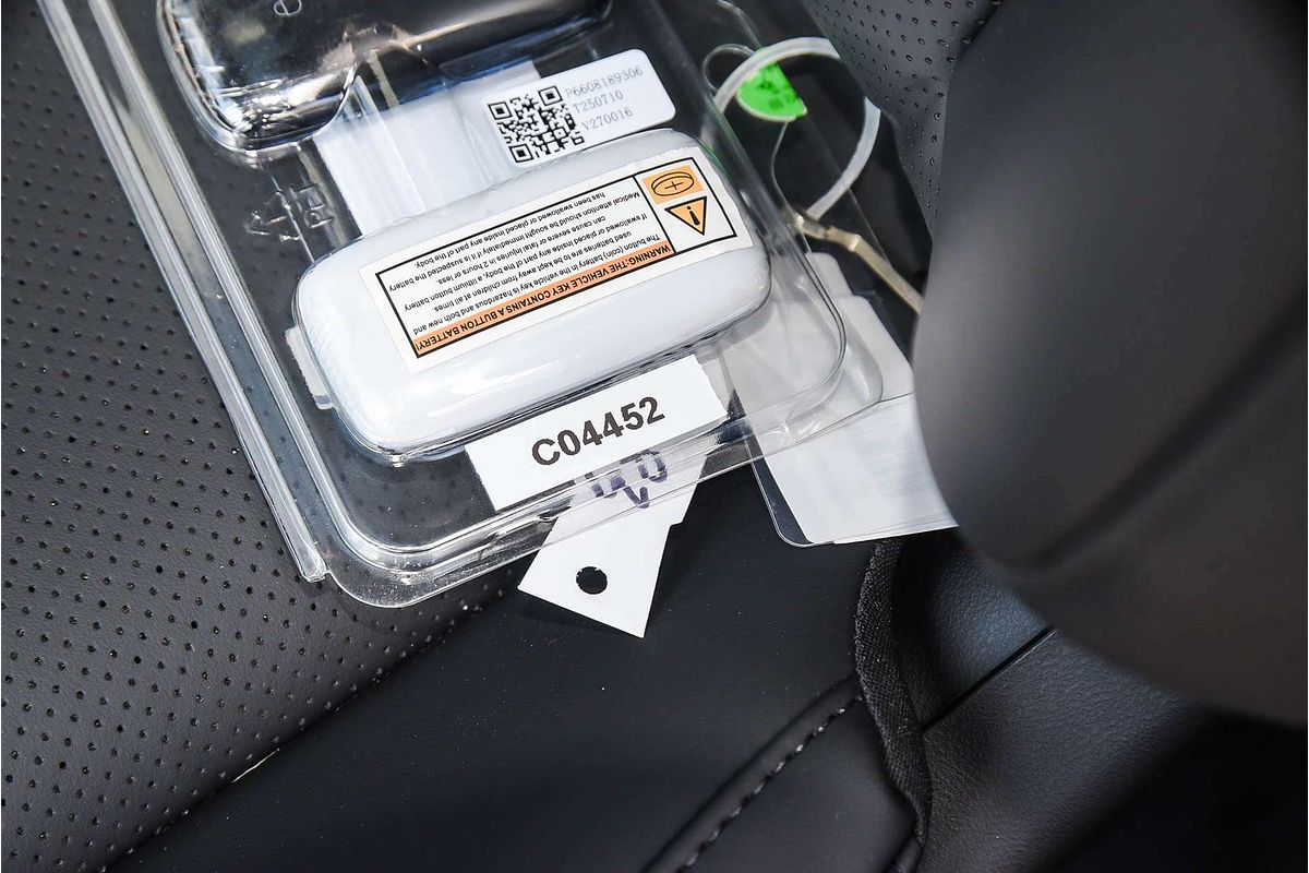 2025 Geely Starray EM-i Inspire P145