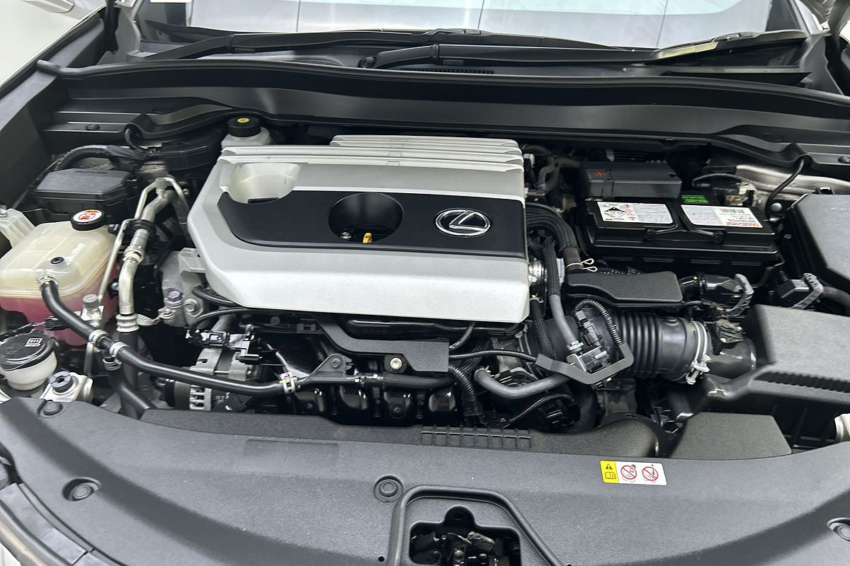 2019 Lexus UX UX200 Luxury MZAA10R