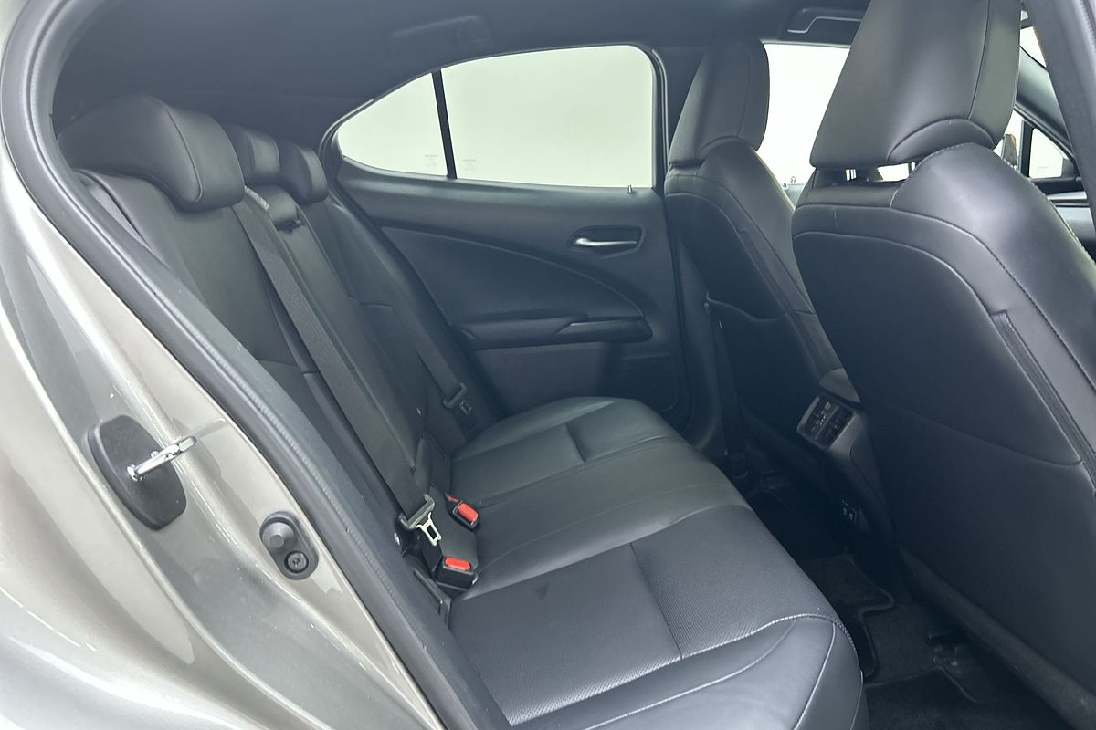 2019 Lexus UX UX200 Luxury MZAA10R