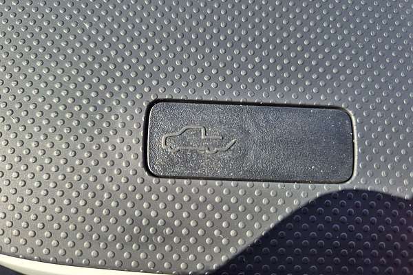 2025 LDV Terron 9 Origin EKK1C 4X4