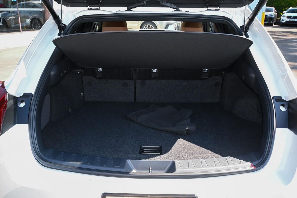 2024 Lexus UX UX300h Sport Luxury MZAH11R