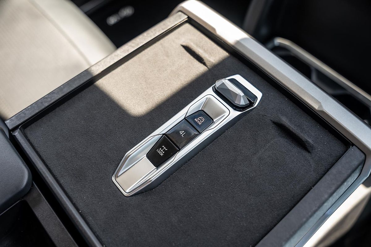 2025 LDV Terron 9 Evolve EKK1C 4X4