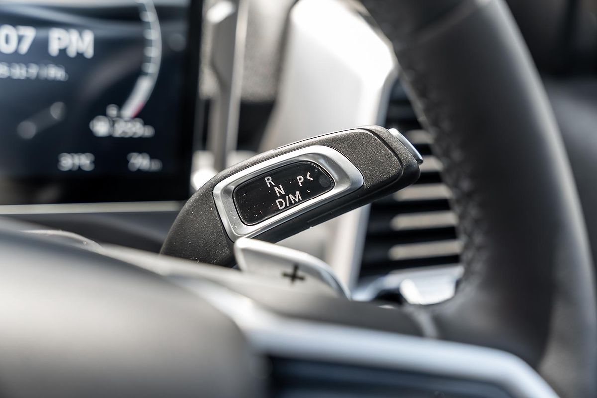 2025 LDV Terron 9 Evolve EKK1C 4X4