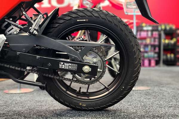 2024 Suzuki DS250 V-STROM