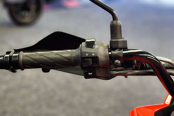 2024 Suzuki DS250 V-STROM