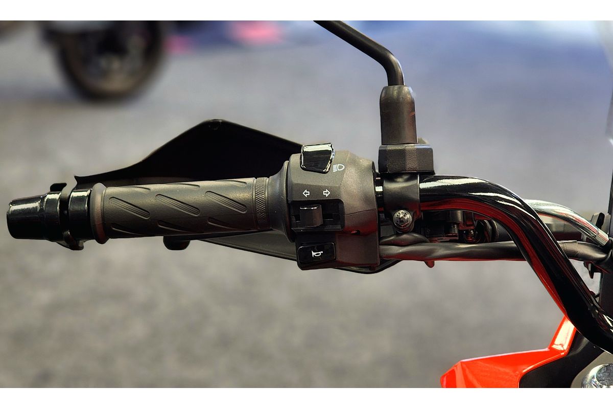 2024 Suzuki DS250 V-STROM