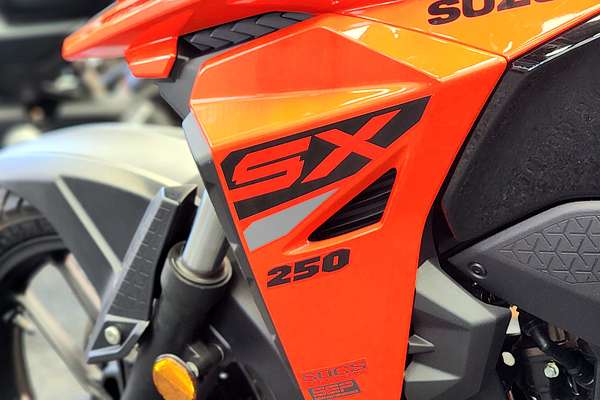 2024 Suzuki DS250 V-STROM