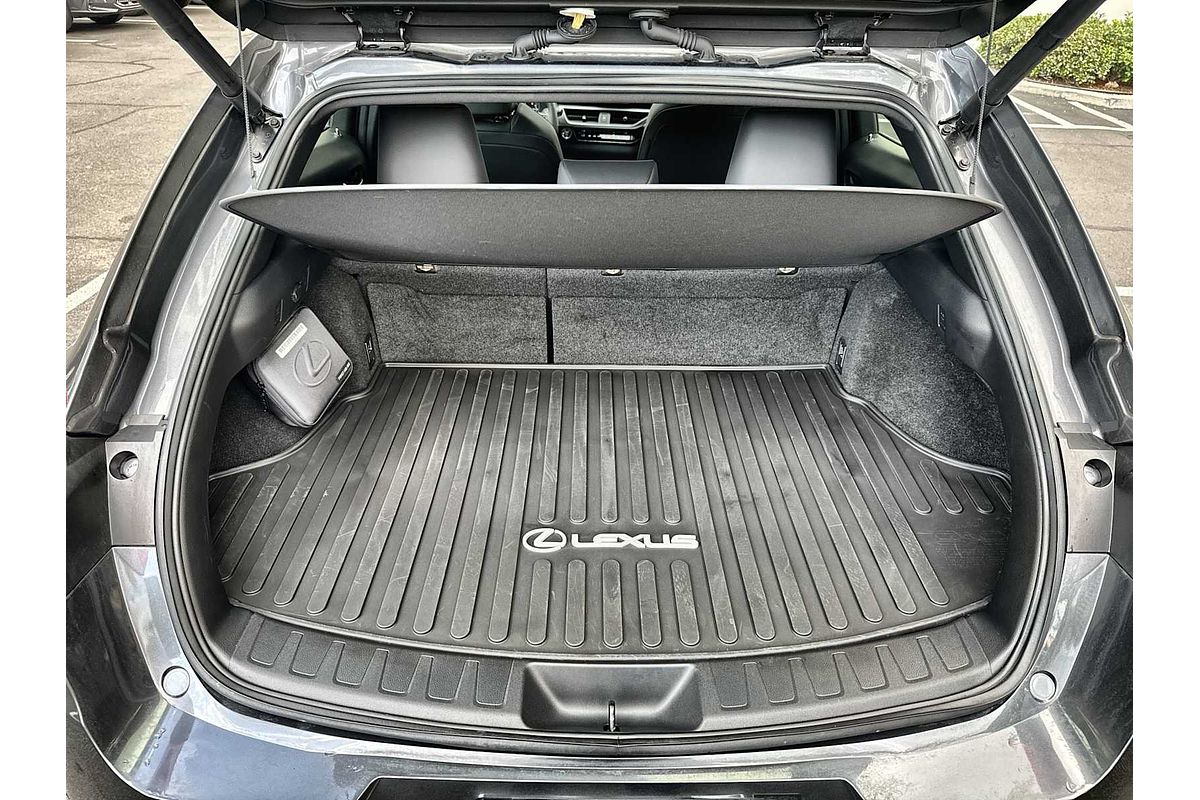 2024 Lexus UX Premium