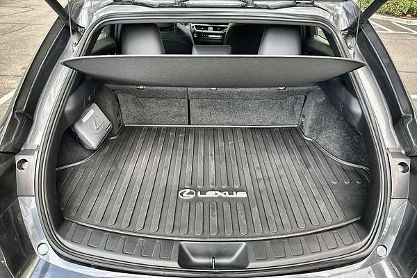 2024 Lexus UX Premium