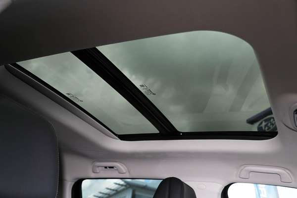 2024 GWM Cannon Alpha Ultra P05 4X4