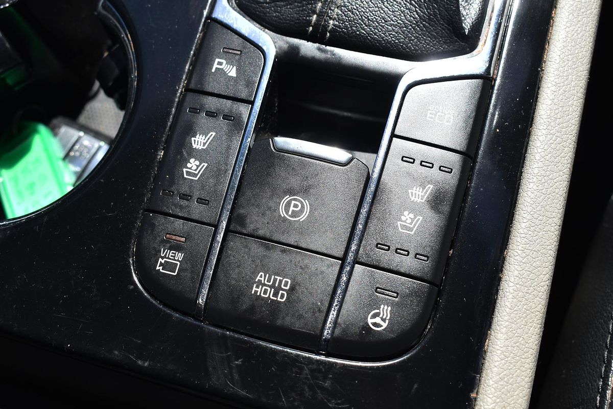 2019 Kia Carnival Platinum YP